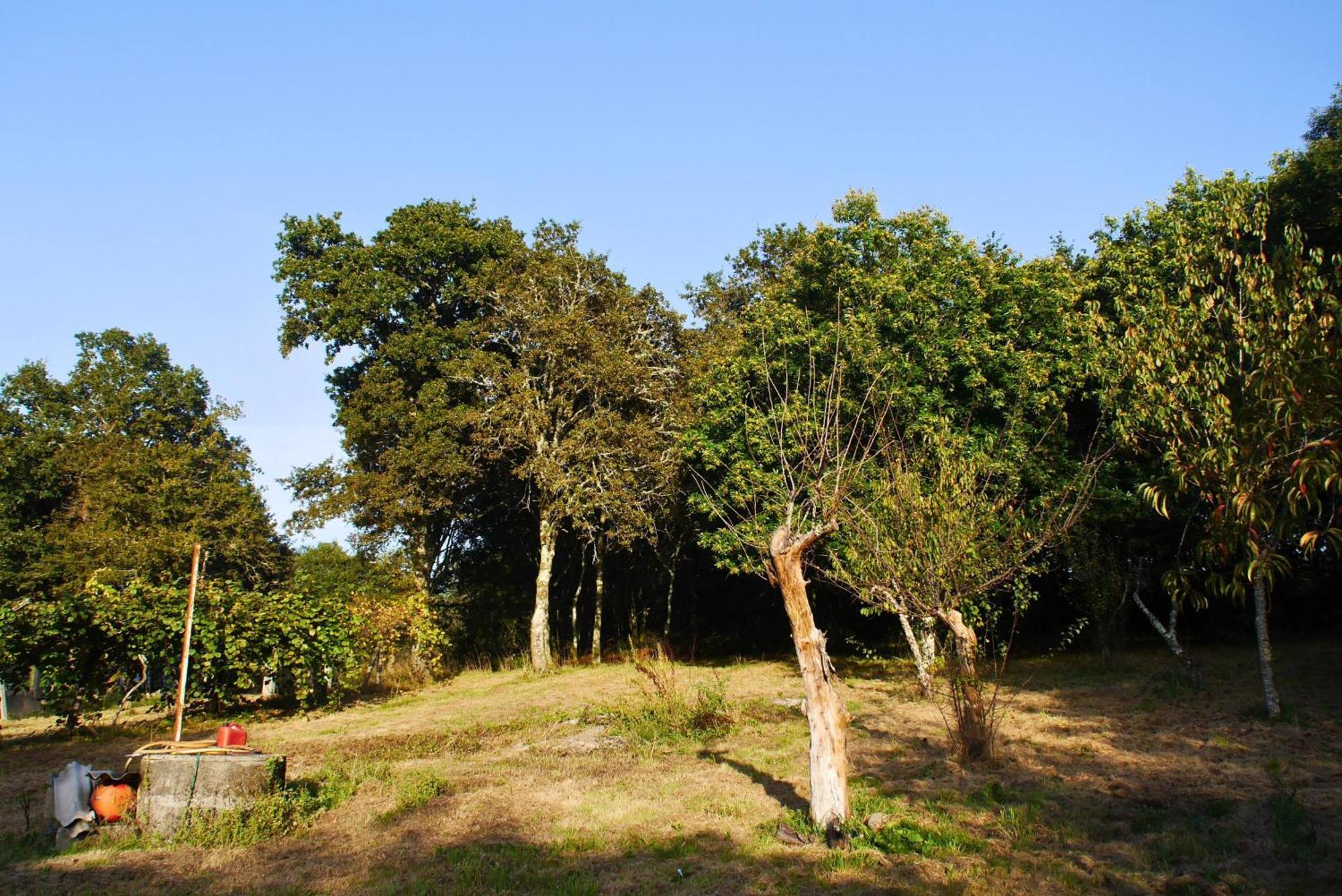 Casa Ermitas - Relajate En Plena Naturaleza Holiday home